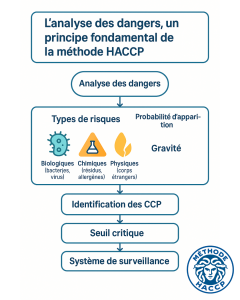 Les 7 principes de l'HACCP
