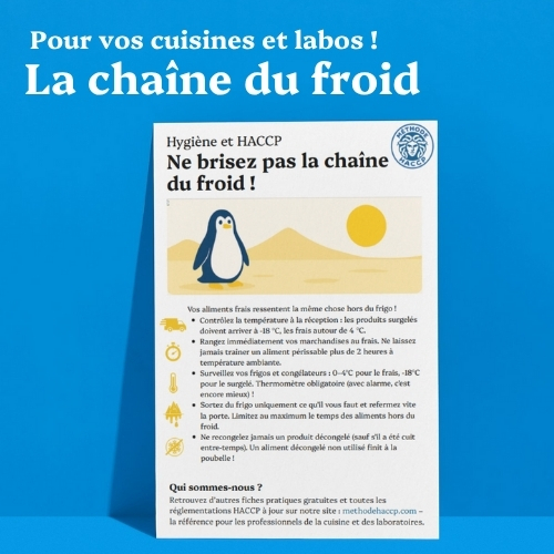 Affiche HACCP gratuite : le respect de la chaîne du froid